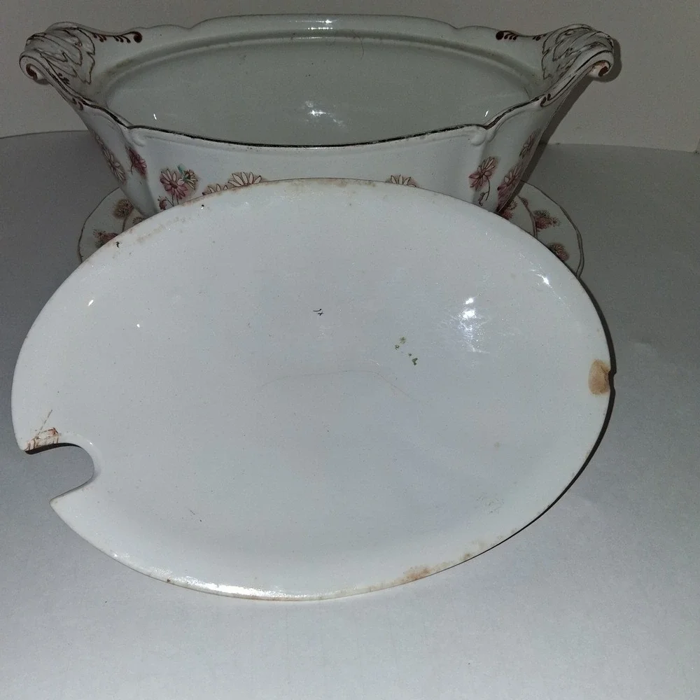 Furnivals Victorian Daisy Covered Transferware Handpainted Soup Tureen 1892-1913